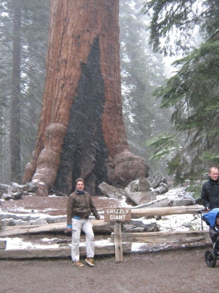 Moi bij Sequoia tree in de sneeuw Mariposa Grove @ Yosemite national park 